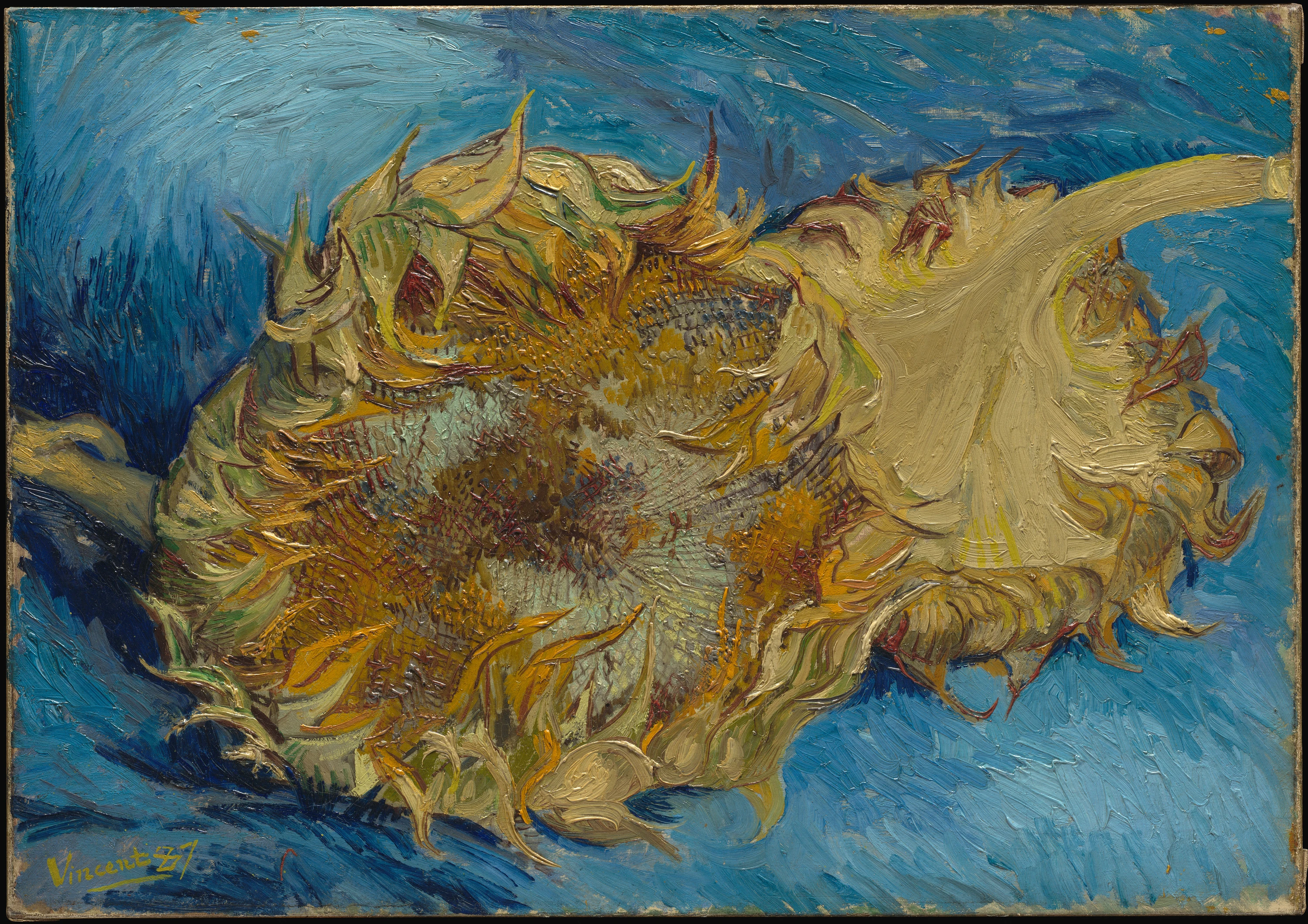 Sunflowers